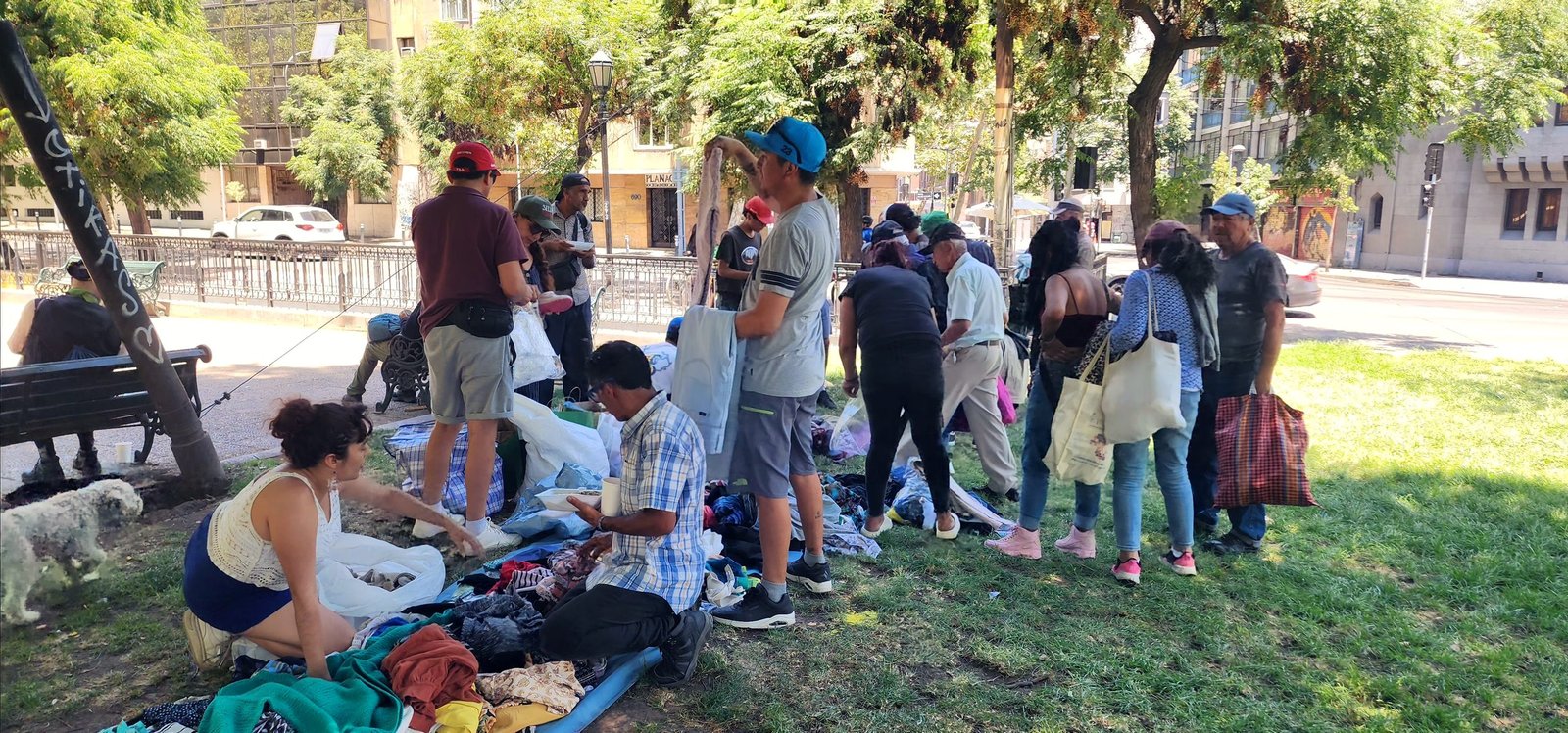 Boletín Informativo 2025